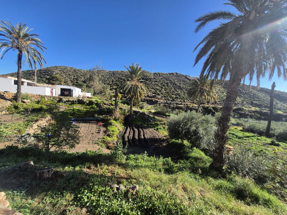 Farm hus i Pilar De Jaravia, Almeria - foto 2